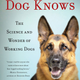 Image for article titled How I Turned My Problem Pet into a 'Cadaver Dog'